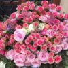 a large bouquet of pink roses